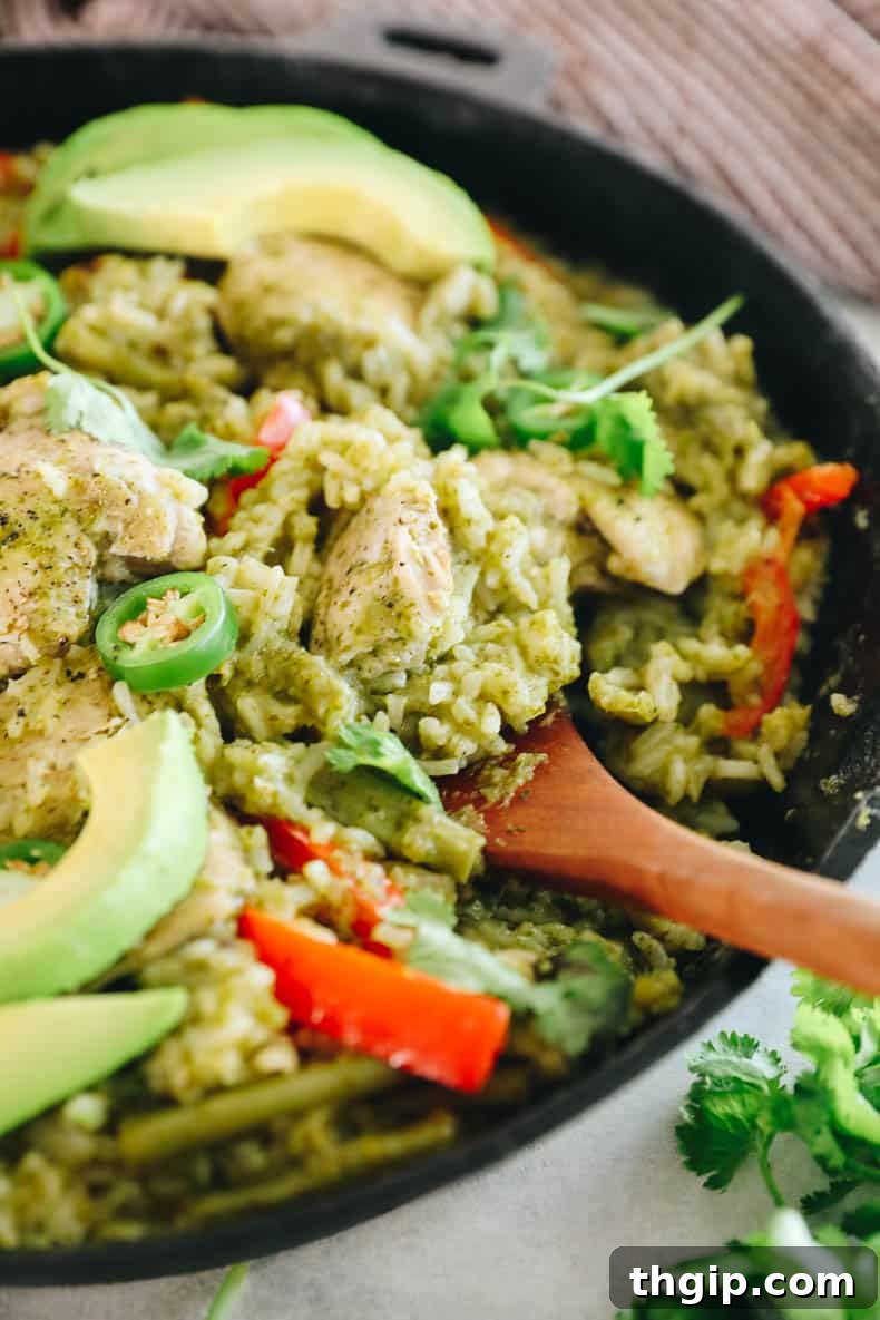 Zesty One-Pan Cilantro Lime Chicken and Rice 9 A vibrant, healthy, and easy one-pot cilantro lime chicken and rice meal presented beautifully.