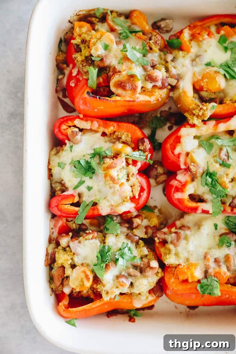 Perfectly baked Quinoa stuffed bell peppers topped with melted golden-brown cheese and garnished.