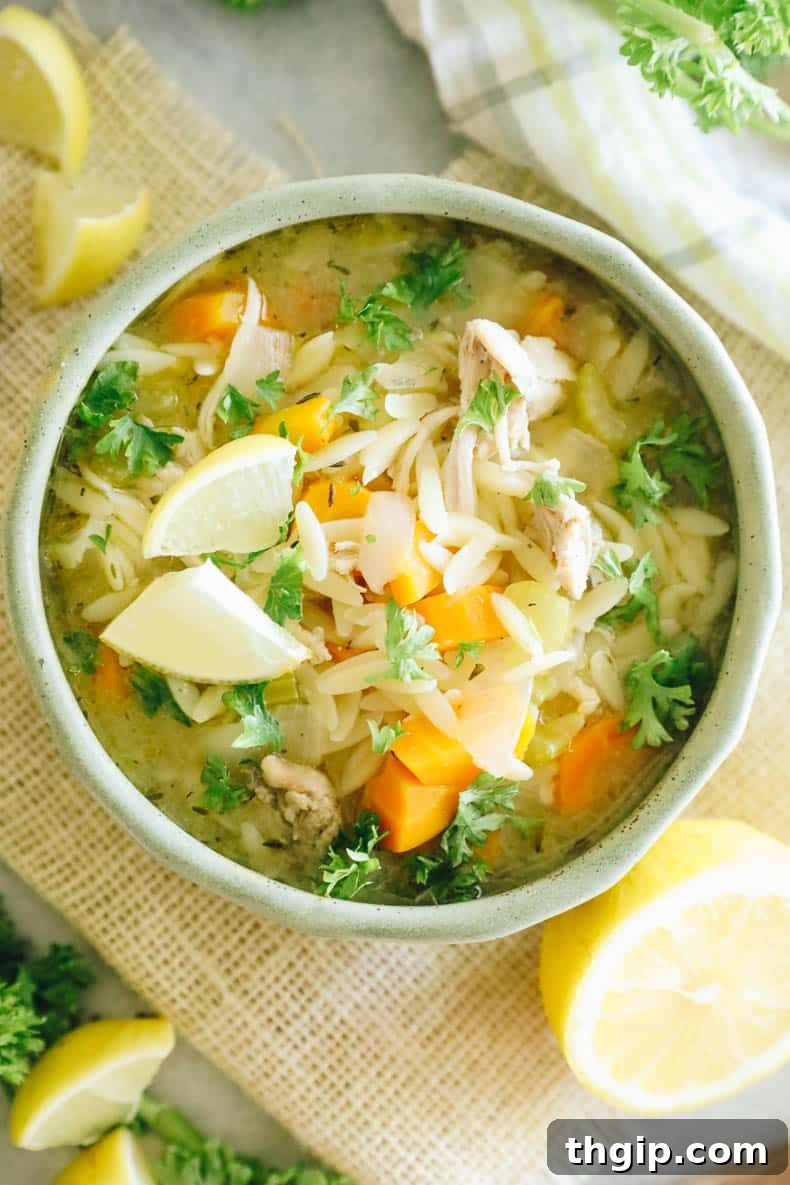 Overhead image of a beautifully garnished bowl of lemon chicken orzo soup, ready to eat.
