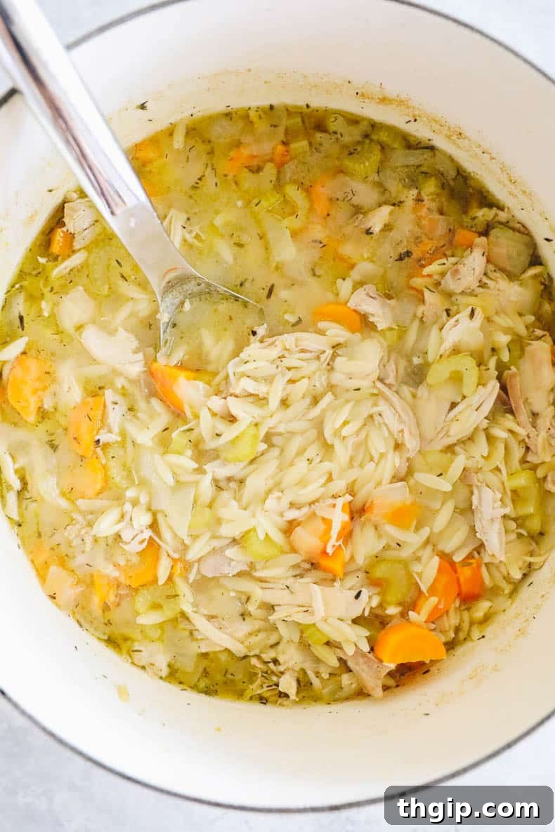 Close-up of Lemon Chicken Orzo Soup garnished with fresh parsley and lemon slices.