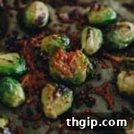 Upclose image of smashed brussel sprouts sprinkled with crispy parmesan bits.