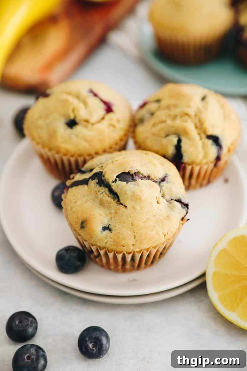 Zesty Lemon Blueberry Muffins 2 Three golden-brown lemon blueberry muffins elegantly arranged on a small white plate, highlighting their perfectly domed tops and visible blueberries.