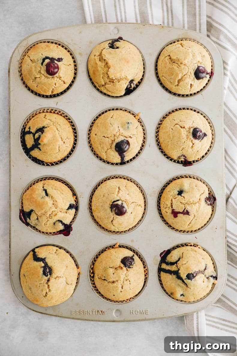 Zesty Lemon Blueberry Muffins 4 Freshly baked lemon blueberry muffins cooling in a muffin tin, displaying their golden tops.