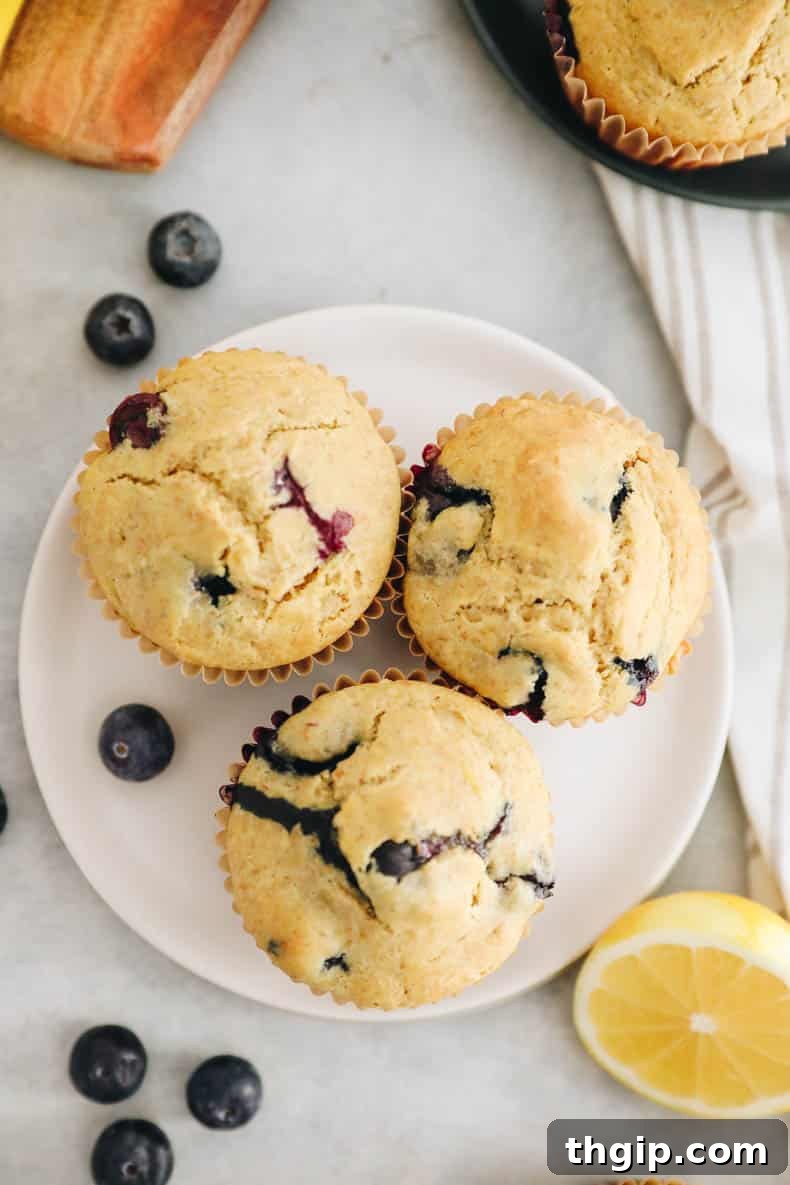 Zesty Lemon Blueberry Muffins 5 Overhead shot of freshly baked lemon blueberry muffins on a small white plate, ready to be enjoyed.