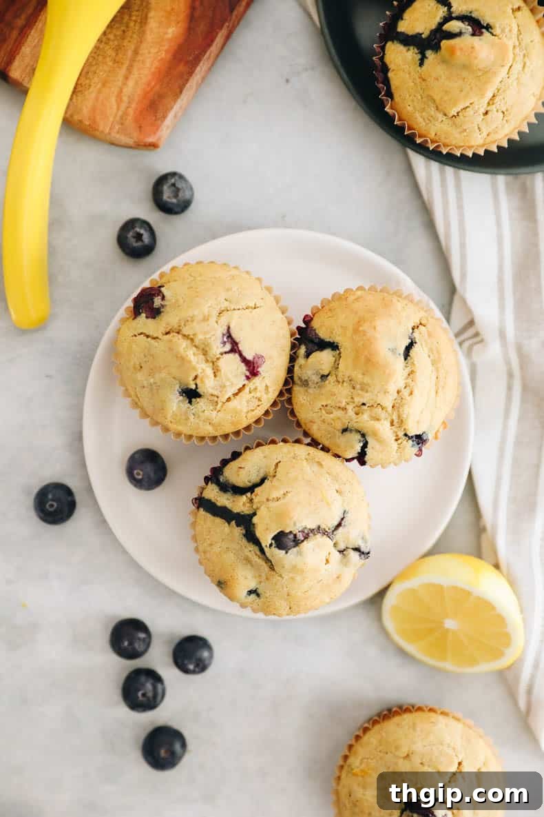 Zesty Lemon Blueberry Muffins 7 A final close-up image of a single lemon blueberry muffin, emphasizing its texture and topping.