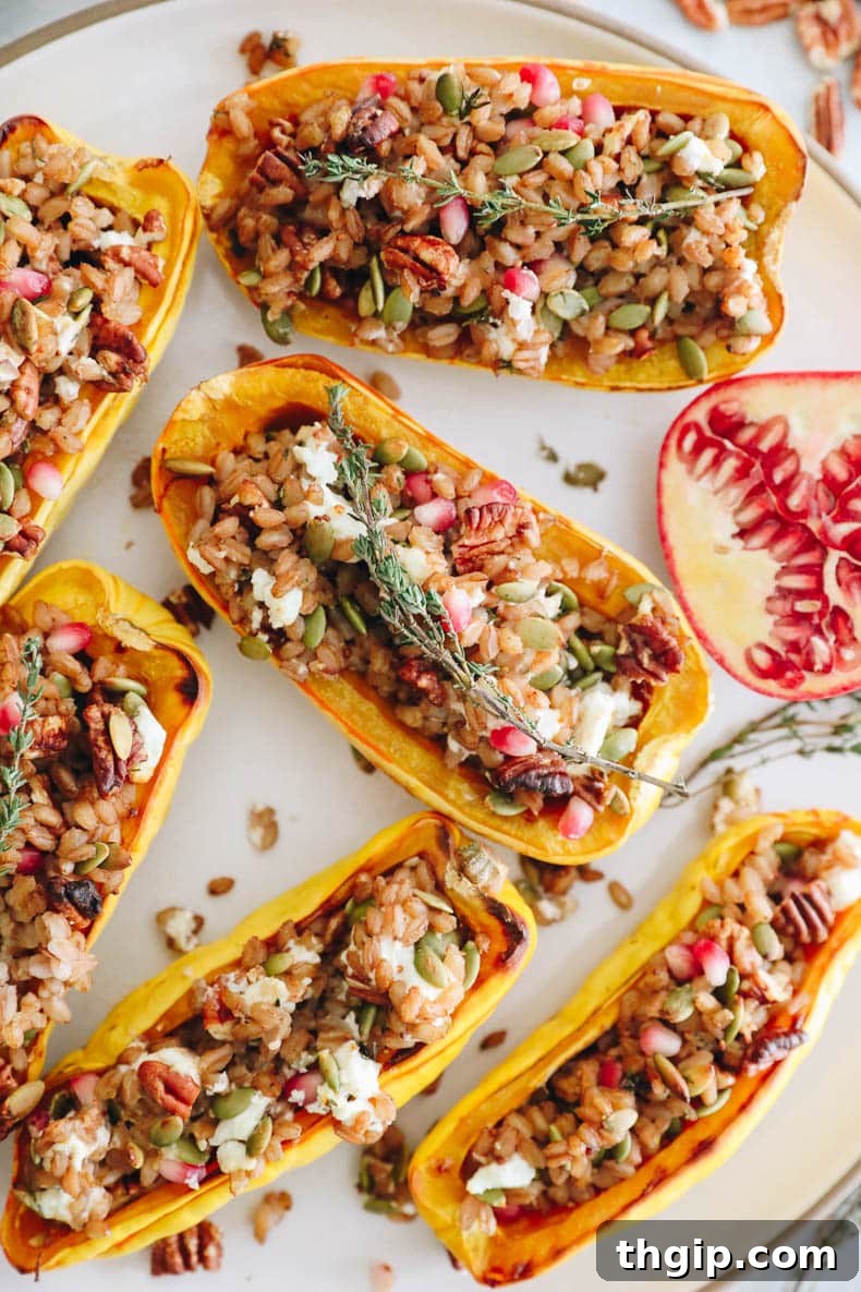Hearty Farro-Filled Delicata Squash 2 Beautifully presented farro stuffed delicata squash, garnished with pumpkin seeds, pecans, pomegranate seeds, and crumbled goat cheese, ready to be served.