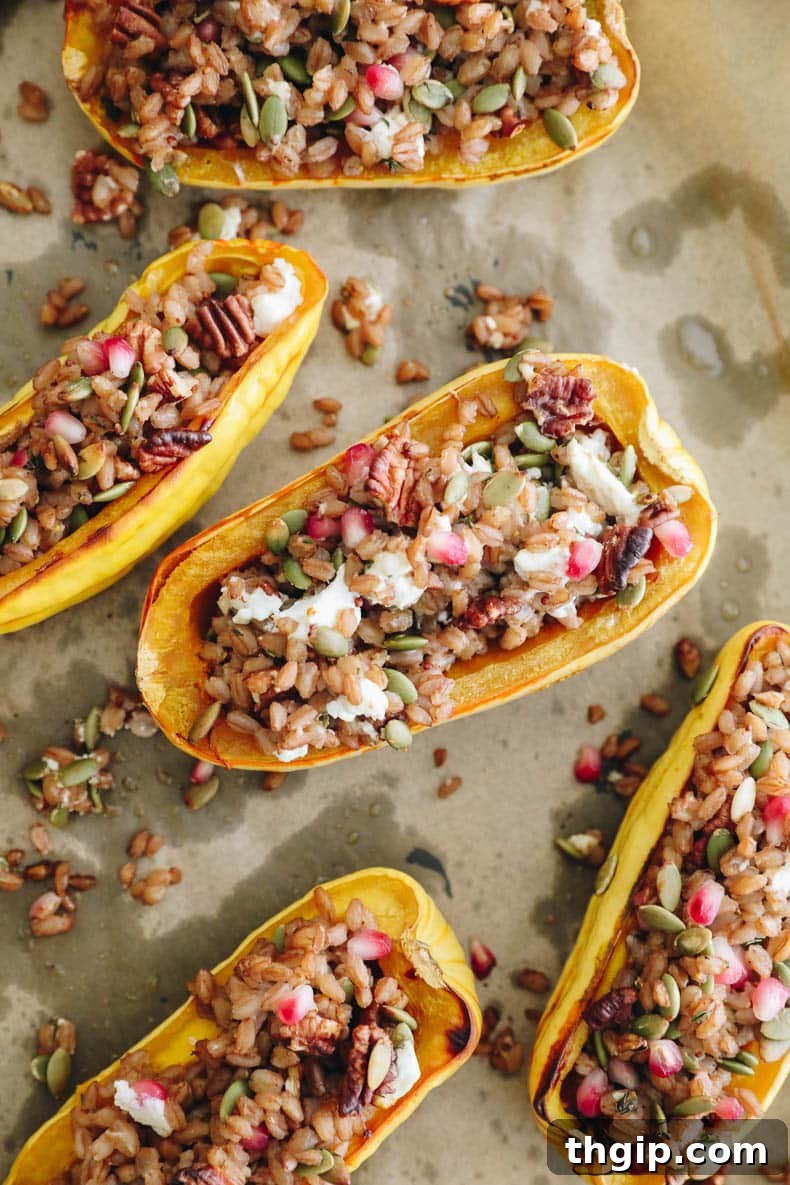 Hearty Farro-Filled Delicata Squash 6 Hand scooping farro stuffing into a roasted delicata squash half on a baking sheet.