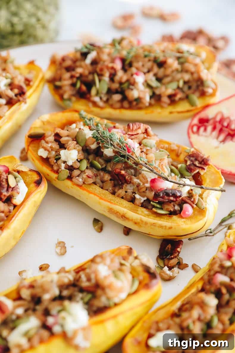 Hearty Farro-Filled Delicata Squash 7 A perfectly stuffed delicata squash half on a white plate, garnished and ready to eat.