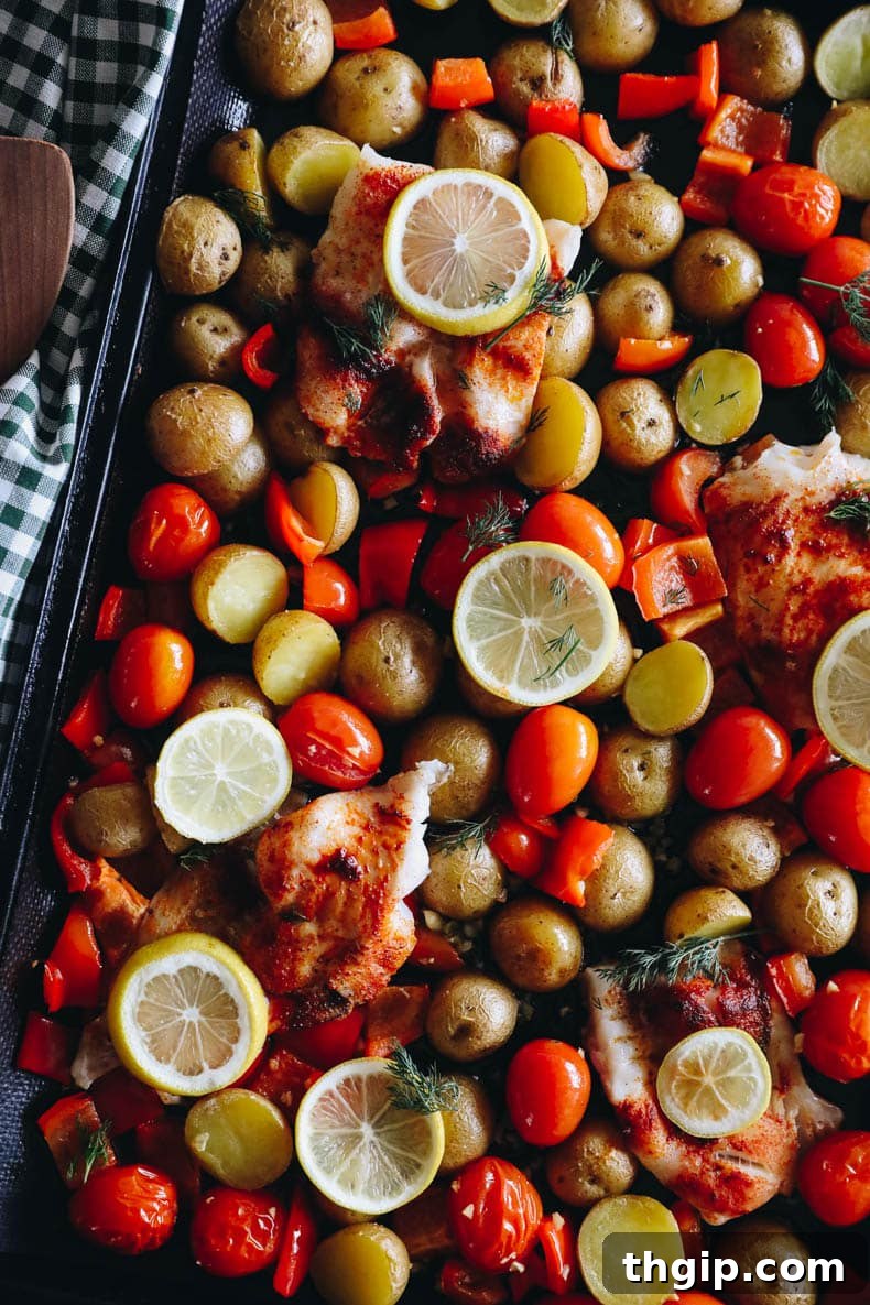 Lemon Herb Sheet Pan Cod 2 Overhead image of beautifully baked cod on a sheet pan, surrounded by vibrant roasted vegetables, lemon slices, and fresh dill.