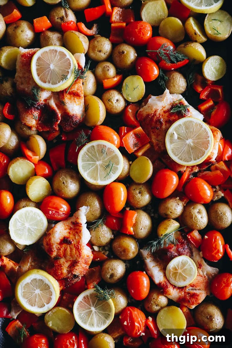 Lemon Herb Sheet Pan Cod 5 A close-up of a finished baked cod recipe on a sheet pan, garnished with roasted veggies, bright lemon slices, and fresh herbs.