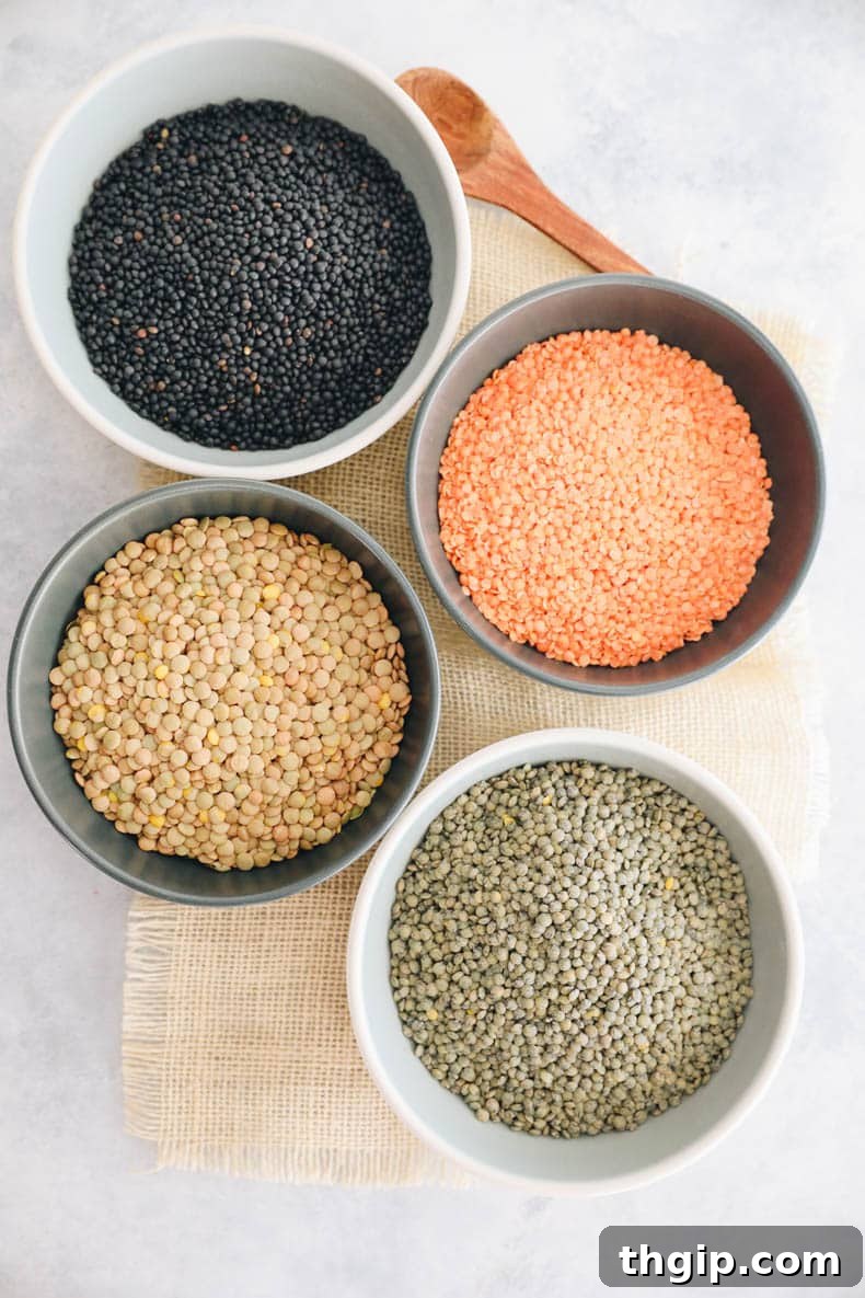 Overhead image of 4 types of lentils - black beluga lentils, red lentils, brown lentils, and french lentils - arranged in separate piles.