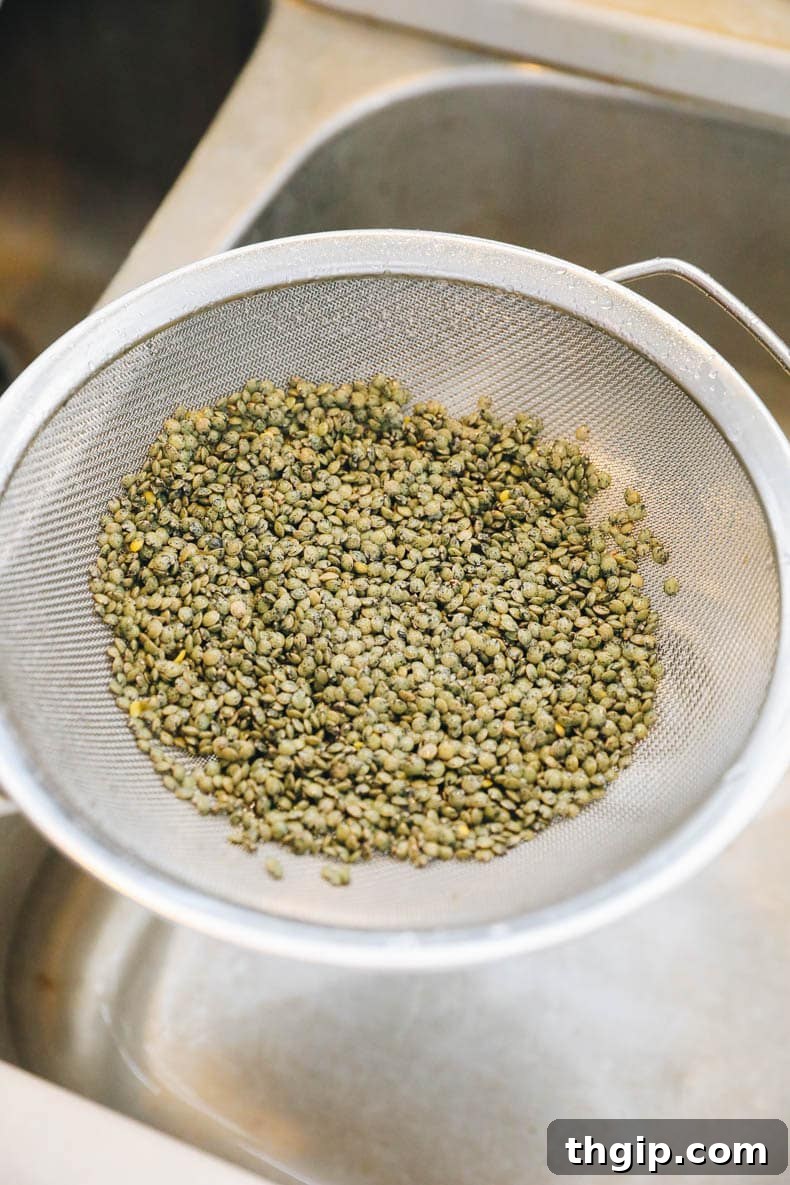 French lentils rinsed in a strainer, showing the clean and prepared legumes.