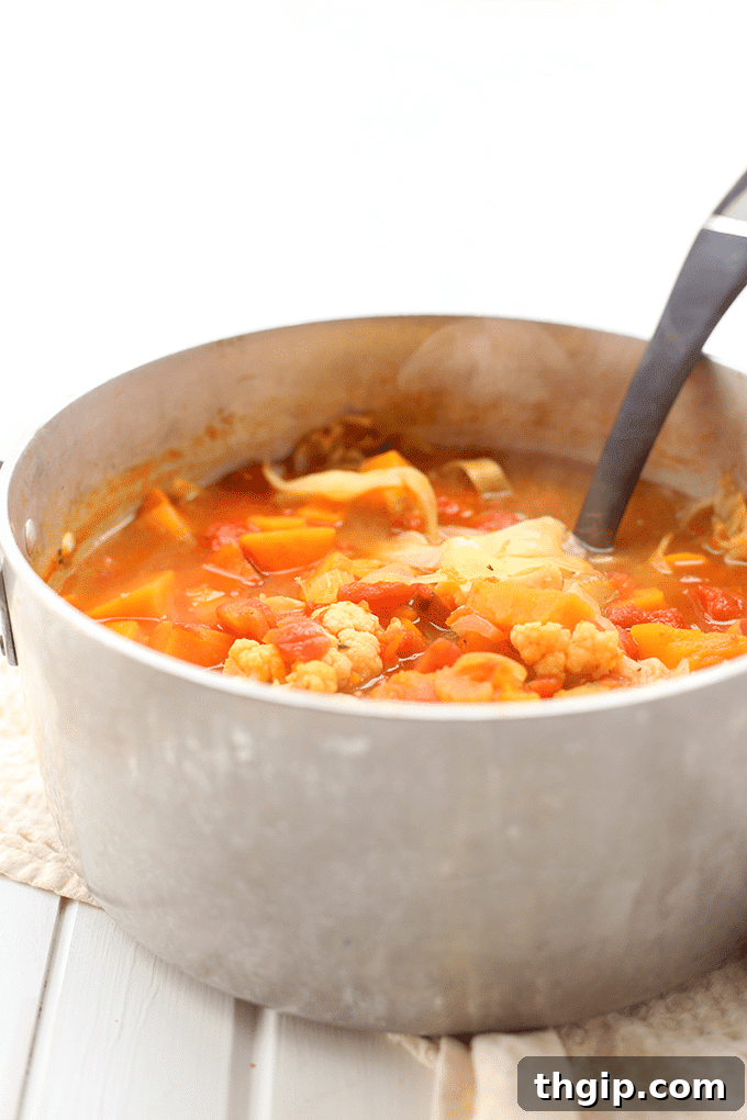 Garden Fresh Soup 3 A large pot filled with healthy, simmering vegetable soup, ready to be served.