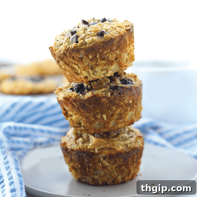 High-Protein Oatmeal Bites 2 Delicious protein-packed oatmeal cups, ready for a healthy breakfast on the go.