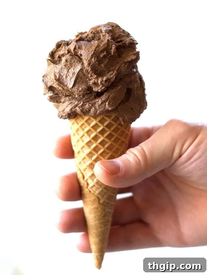 Vegan Chocolate Ice Cream in a cone, held against a bright background