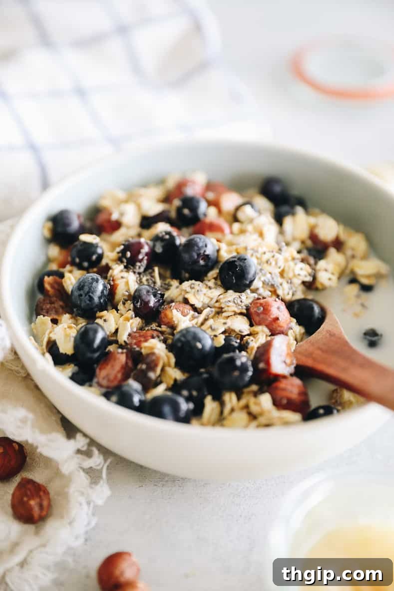 A beautifully presented bowl of creamy Bircher Muesli, topped with vibrant fresh blueberries, chopped hazelnuts, and a drizzle of milk, ready to be enjoyed as a healthy breakfast.