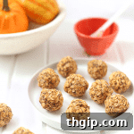 Thumbnail of Pumpkin Spice Oatmeal Energy Balls