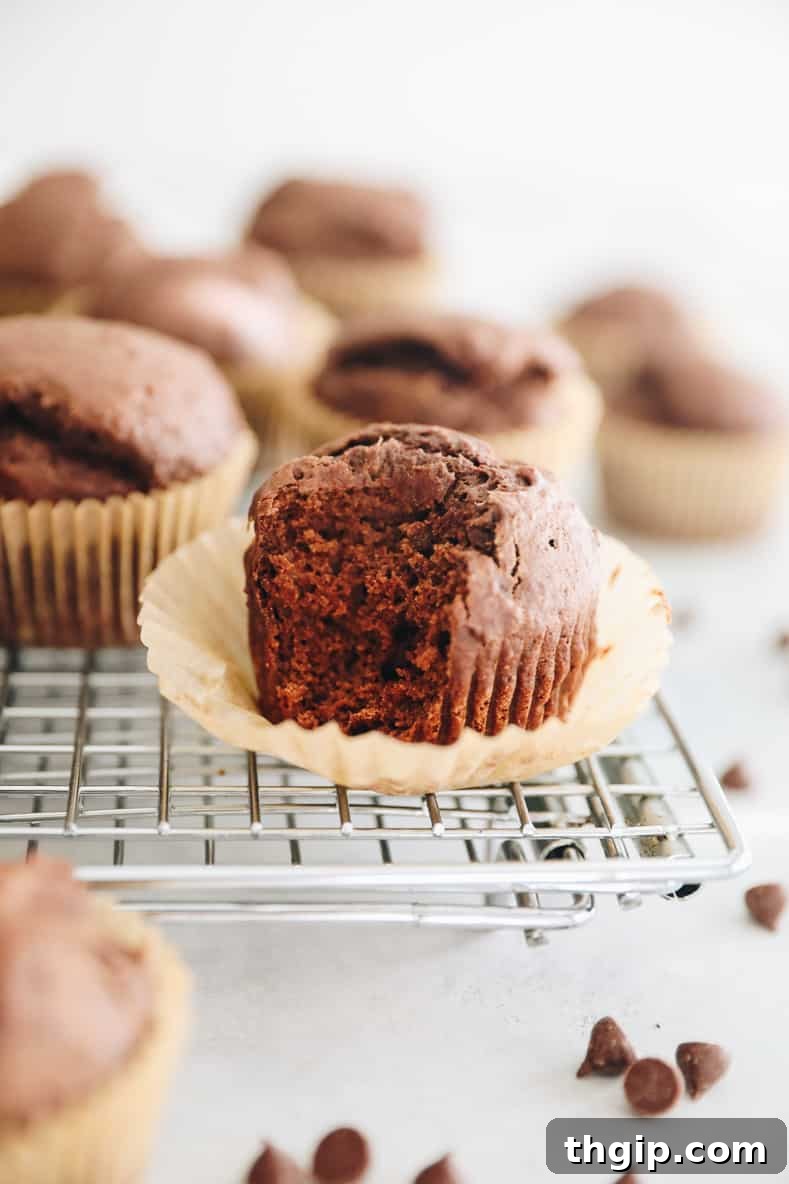 Spiced Chocolate Gingerbread Muffins 2 Healthy chocolate gingerbread muffins cooling on a wire rack, with one muffin peeled back to show a bite taken out and its moist interior.