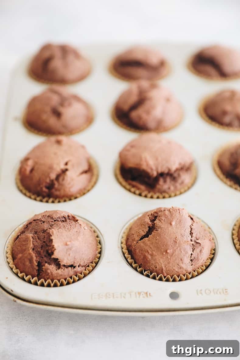 Spiced Chocolate Gingerbread Muffins 6 Freshly baked chocolate gingerbread muffins in a muffin tin, cooling slightly before removal.