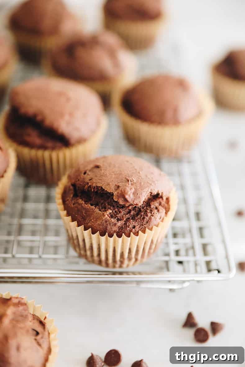 Spiced Chocolate Gingerbread Muffins 7 Angled view of healthy chocolate gingerbread muffins cooling on a wire rack, perfectly baked and ready to be stored or enjoyed.