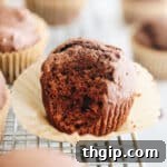 Close-up of a healthy chocolate gingerbread muffin with a bite taken out, showcasing its moist, fluffy interior and chocolate chips.