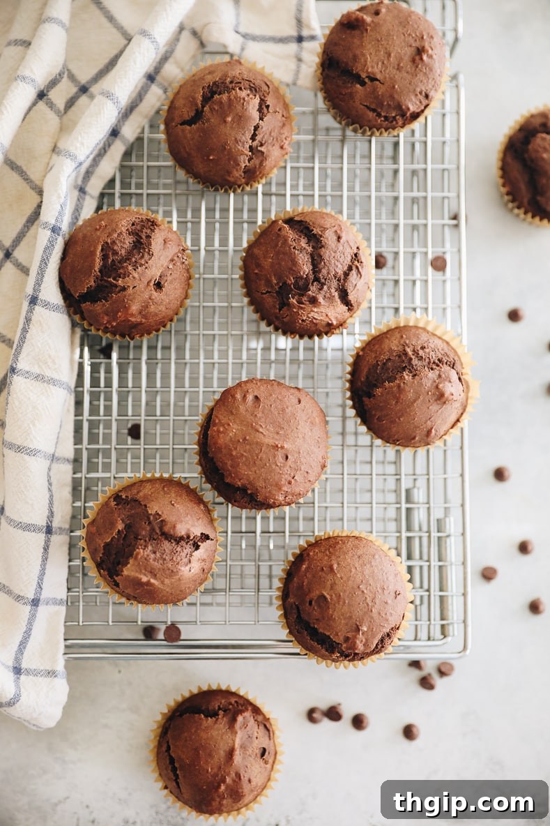 Spiced Chocolate Gingerbread Muffins 9 Overhead shot of freshly baked chocolate gingerbread muffins arranged neatly on a wire cooling rack, highlighting their perfect golden-brown tops.