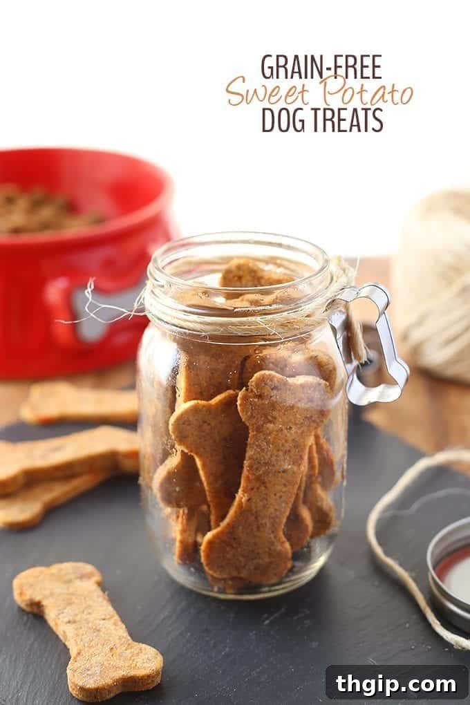 Happy dog (Rhett) eagerly waiting for homemade sweet potato dog treats