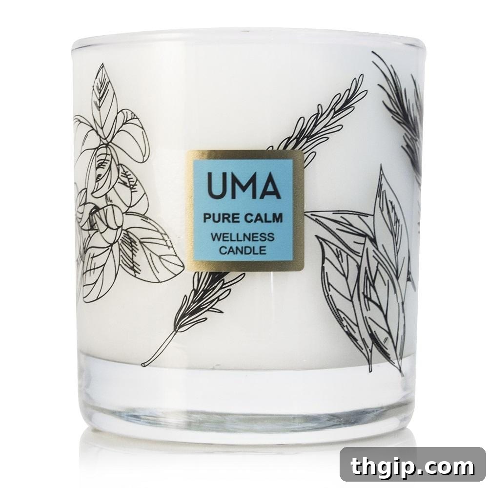 Crafting Beautiful Candles At Home 4 A selection of natural, non-toxic candles from store-bought brands, offering alternatives to homemade options.